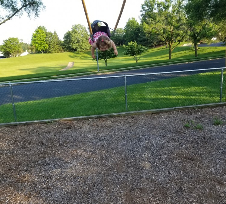 swings-photo
